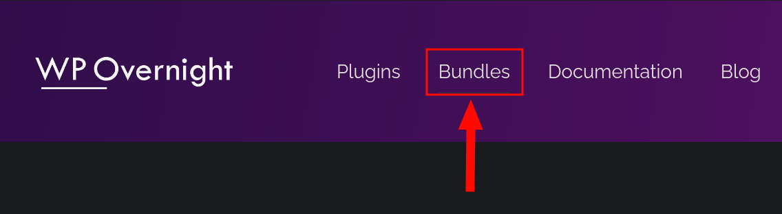 How to get the latest version - WP Overnight Documentation