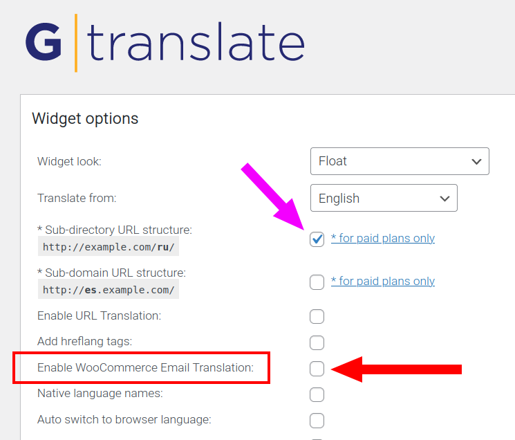 An image of GTranslate Email Translation setting