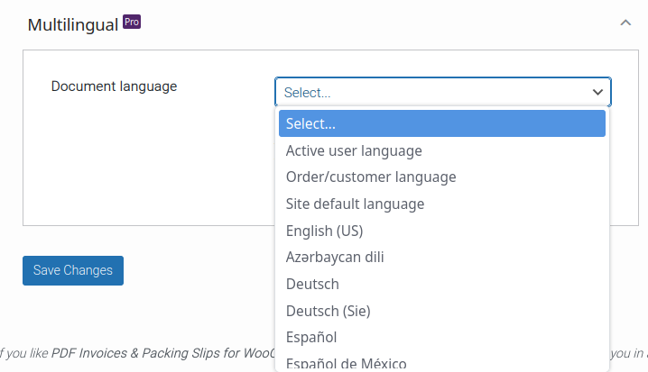 An image of the document language setting